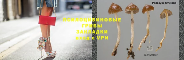 mix Аркадак