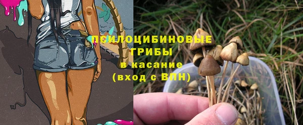 синтетический гашиш Арсеньев